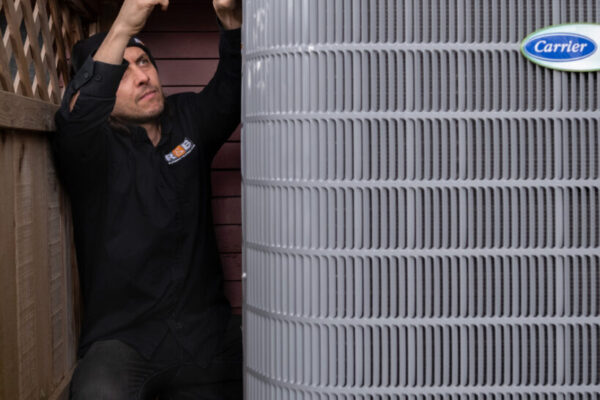 AF2D7754 9859 4292 AF9F 3A3177FED7E7